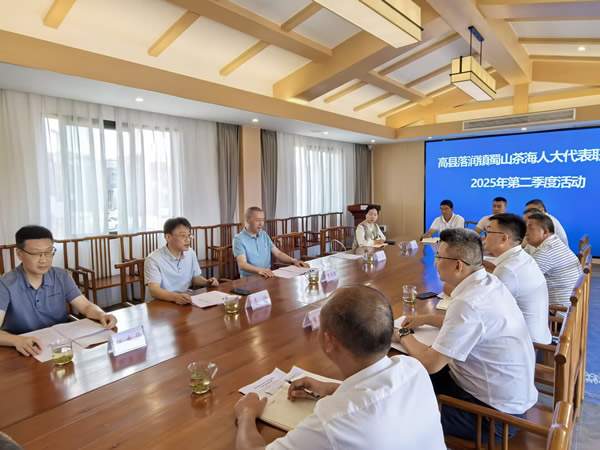 宜賓市人大信息技術(shù)咨詢服務(wù)的創(chuàng)新與實(shí)踐